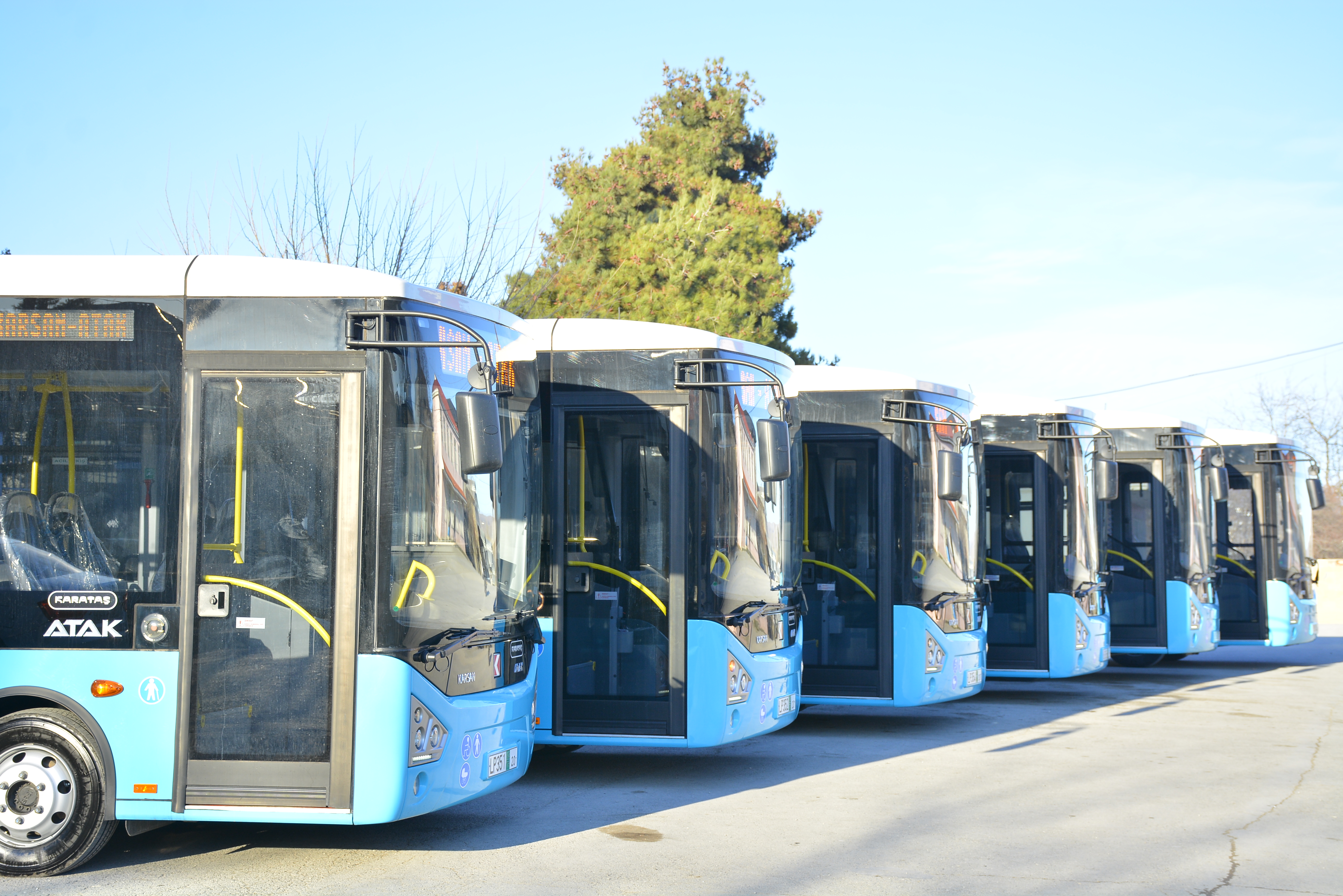 bba2e95cab0b622f7d7317de52e9d70d.jpg
