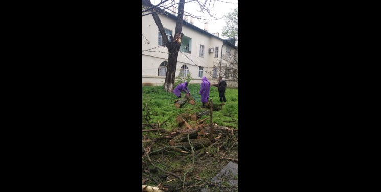 Şamaxıda güclü külək və intensiv yağışın fəsadları aradan qaldırılır